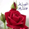 dyye3j7we3x3