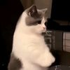 bro_1758