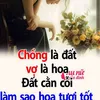 user3817884554919huong