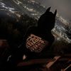 joshpelley246