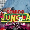 jungla4034
