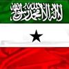 safouch1