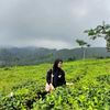 siapajabolehh28