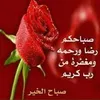fouziaelouerdi