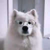 tiwtiw023ti