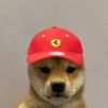 wonniegyu1