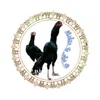 جهئ به رواري بو فروتنا🐓🐔🐣🐤