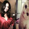only_1kitty