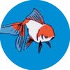 urla00