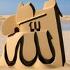 malikattamalik123