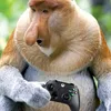 bambikgry