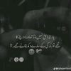 user519478154