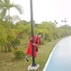thinzar00002