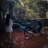 nth_3112007