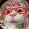 _kittythichngur_