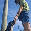 angiestailoreddogtrainin