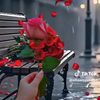 user174636092