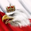 user82769017