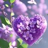 wrda_albanfsj