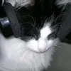 neekomaid