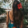 anahbri