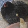 whodaduck117