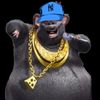 biggechichis