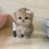 bri.luv28