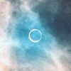 moonlightbroo