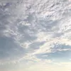 70373926