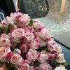 candy_944
