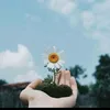 thaokhanh896