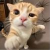 not_rois1