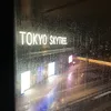 tulyp8