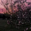 barzanima_00