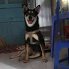 hai_nguyen.93