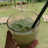 matchayangg