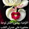user17260740