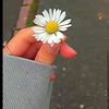 alaa_malasd1