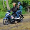 banay.y