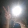 palm4395