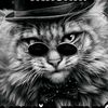 user742063331