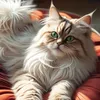 nyandancingcat