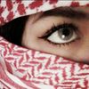 sdkd330