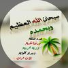 sa_ya113