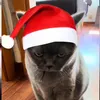 cristinarmrz__