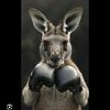 kangarookel999