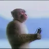 waikmaan
