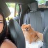 yasmine_b____