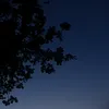 ajjaa0501